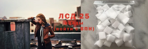 мдпв Гусь-Хрустальный