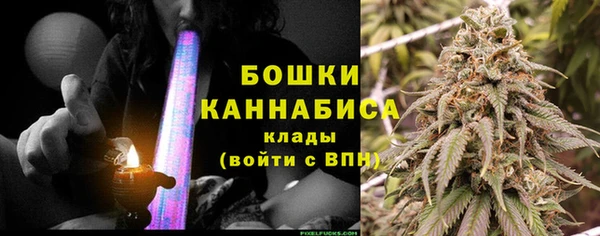 PSILOCYBIN Алексеевка