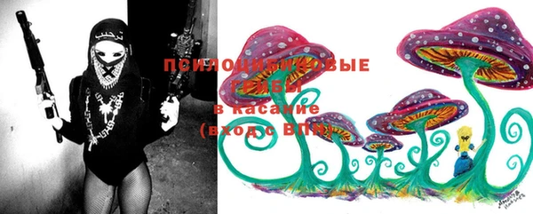 PSILOCYBIN Алексеевка